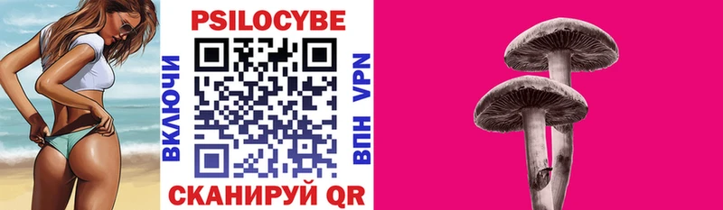 Псилоцибиновые грибы Psilocybine cubensis  продажа наркотиков  Тулун 